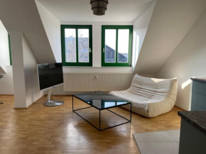 Zentrales hochwertiges Apartment Thomasius